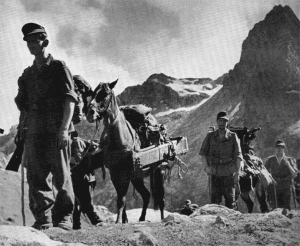 Кавказ. Август 1942 года